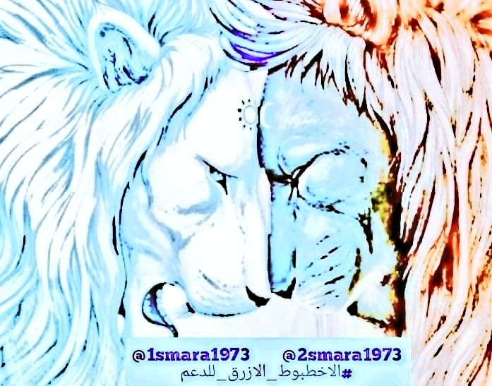 🔥🌛🌛 للدعم وزيادة المتابعين🌜🌜🔥
للمتواجدين الان 
انضم لزيادة المتابعين 📈
1️⃣❖━ لايك 💛🔥
2️⃣❖━━ ريتويت🔁
3️⃣❖━━ اكتب "تم🔥
4️⃣❖━━ تفاعل مع من قال "تم.

اي احد يلغي المتابعه بعد ماتتم متابعته
بلوك على طول

✅🎗ᘓɹ̇ɹ̤ᓆᓅgᓄ🎗✅ 
تفاعلك في نشر التاق يعني تميزك وسط اجمل