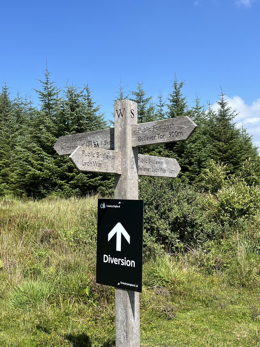 VixMackay tweet media