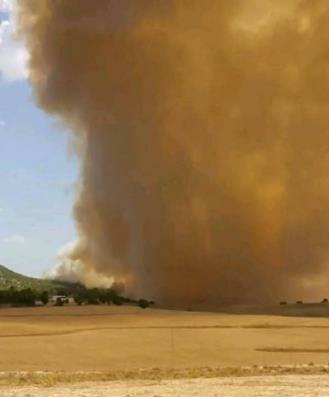 TapNewsAgency's tweet image. #Tunisia: A wildfire broke out Friday in the Telil Essalhi–Dbidiba forest area (Djebel Mansour 2) #ElFahs, #Zaghouan, with the blaze driven by strong winds & high temperatures, spreading from Djebel Mansour 1 in #Siliana & destroying around 200 ha of Aleppo pines. #TAP_En