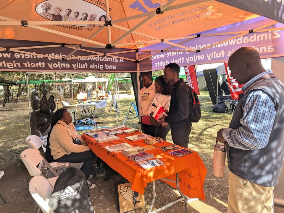 Women's Coalition of Zimbabwe tweet media