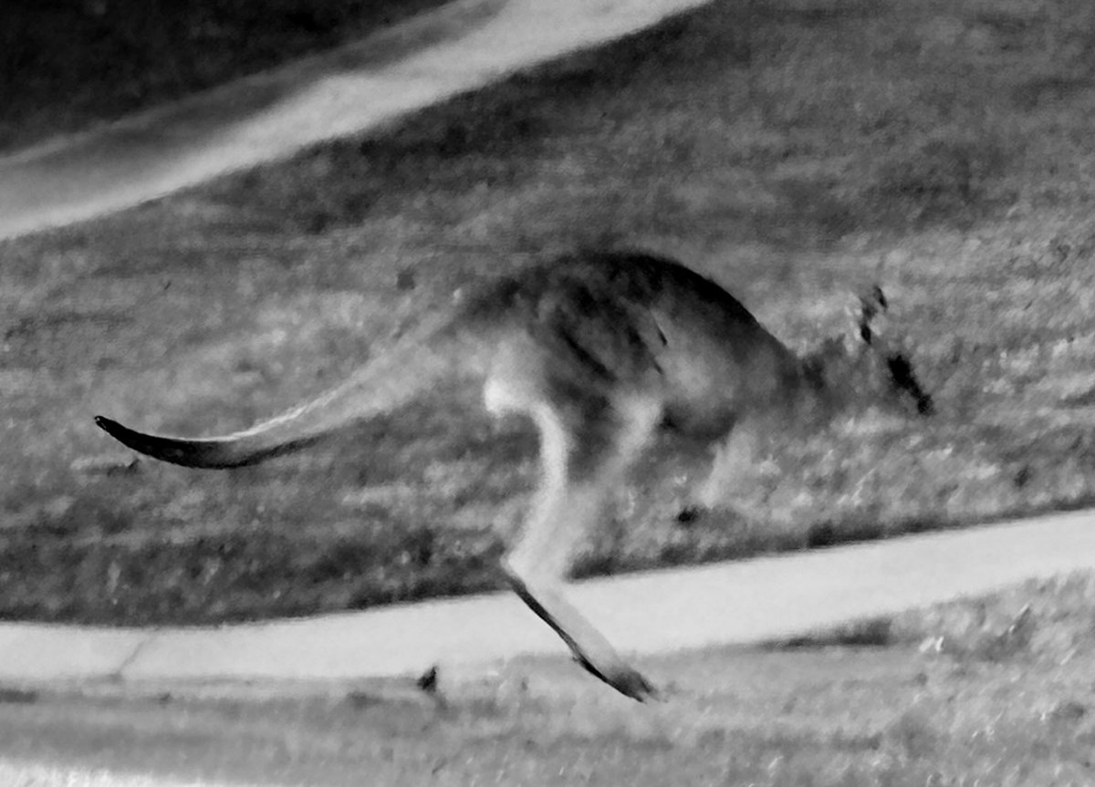 D Q W Lane (@bombsawaylane) on Twitter photo 