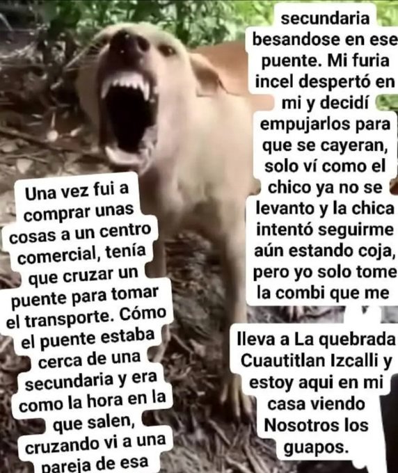 Fiscaliayaviene's tweet image. 