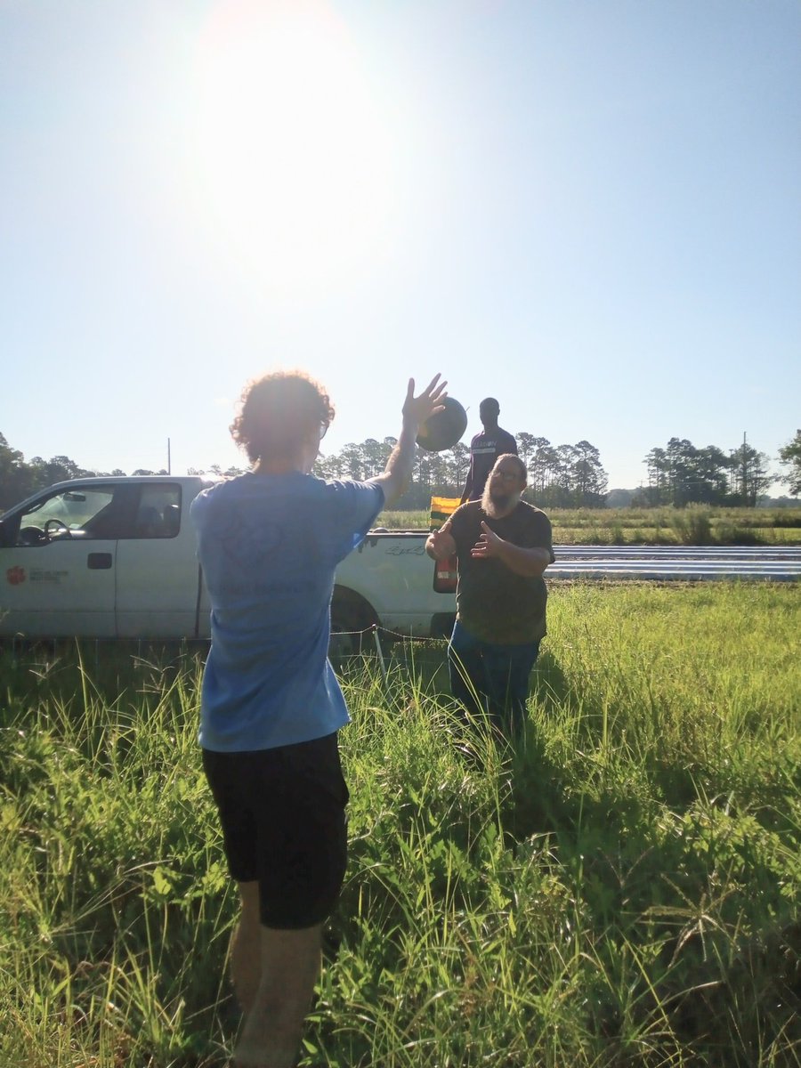 KarinAlbornoz3's tweet image. After another watermelon harvest 🍉, this busy summer doesn&apos;t slow down 🏃🏼‍♂️🕥 Great job by our postharvest team. Compliments to the farmer 👨🏼‍🌾, PhD student @OfficialEbenQ @ClemsonCAFLS