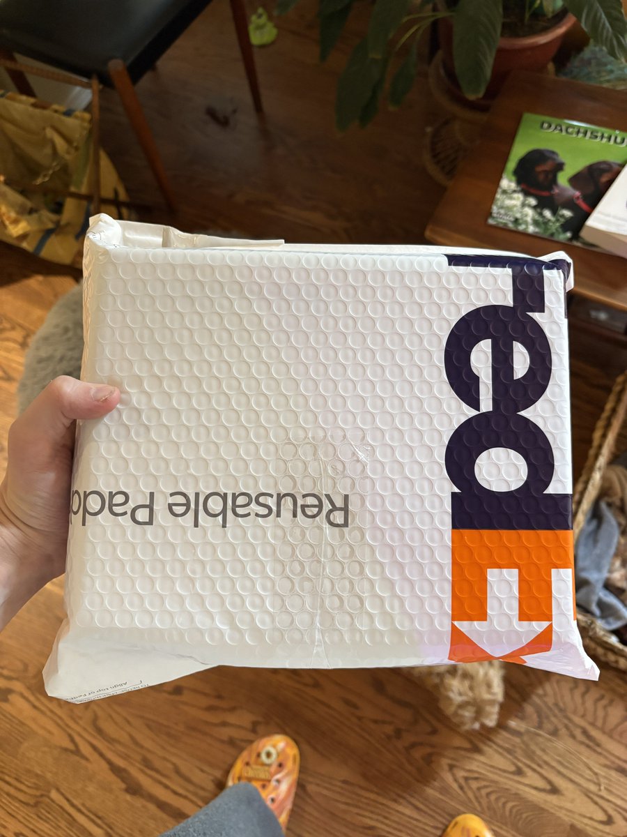 dachshundwizard's tweet image. POKÉMON MAIL DAY!
Giving away 2 Beezie claw pulls to anyone who guesses the right Pokemon in this box.
Each person gets 3 guesses, whoever gets it right goes to a pool that I will randomize.
Hints:
Japanese, not psychic or steel. Gets angry sometimes.
GO!