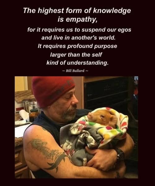 EllieCG11's tweet image. THE ONLY KIND OF BLANKET A PIGGY BELONGS IN. Anything else, outside of love, is a crime against nature. They deserve better and we know better.