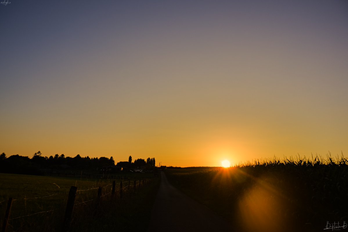 Aigle_e's tweet image. ☀️🔥 Scène folle ce soir alors que le soleil se couche sur un champ de maïs en Normandie, France !
#sunset #photographie #couchersoleil #normandie