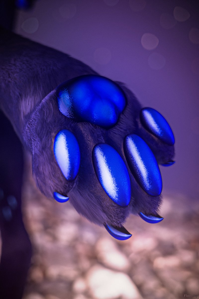 Floophythefluff's tweet image. Fluffy pawb :3
