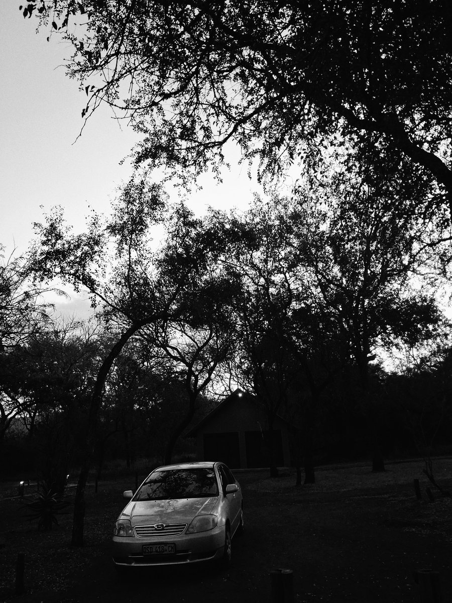 MileniumBash tweet picture