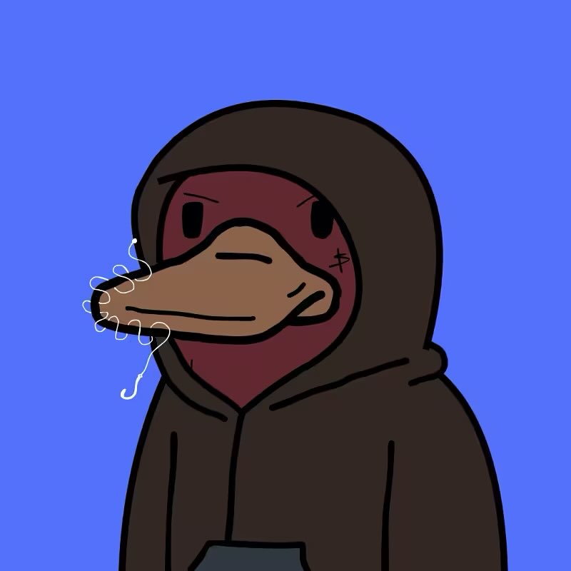 gameofcobras's tweet image. Got the Perrys I was after. Hoodie gang baby wassaaaap 😍🤙🏻