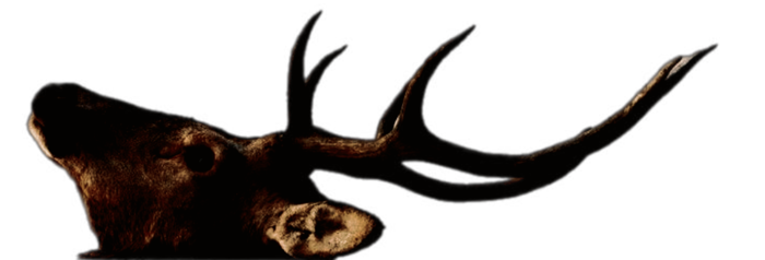lethalsummer's tweet image. 