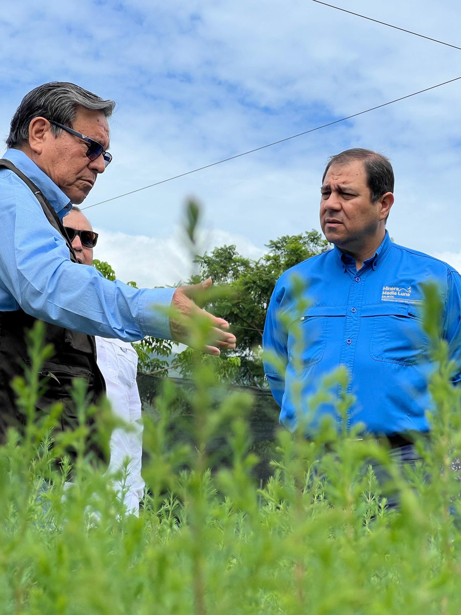FaysalRodriguez's tweet photo. Como parte del acuerdo de colaboración entre Minera Media Luna y @SEMARENgro, para la reforestación en zonas de clima templado en diferentes regiones del estado de Guerrero, hoy visité el Vivero Vicente Guerrero, en el cual se producen más de 100,000 árboles para este fin. 
¡Gracias al Dr. Ángel Almazán por la invitación!
@TorexGold @Gob_Guerrero @EvelynSalgadoP