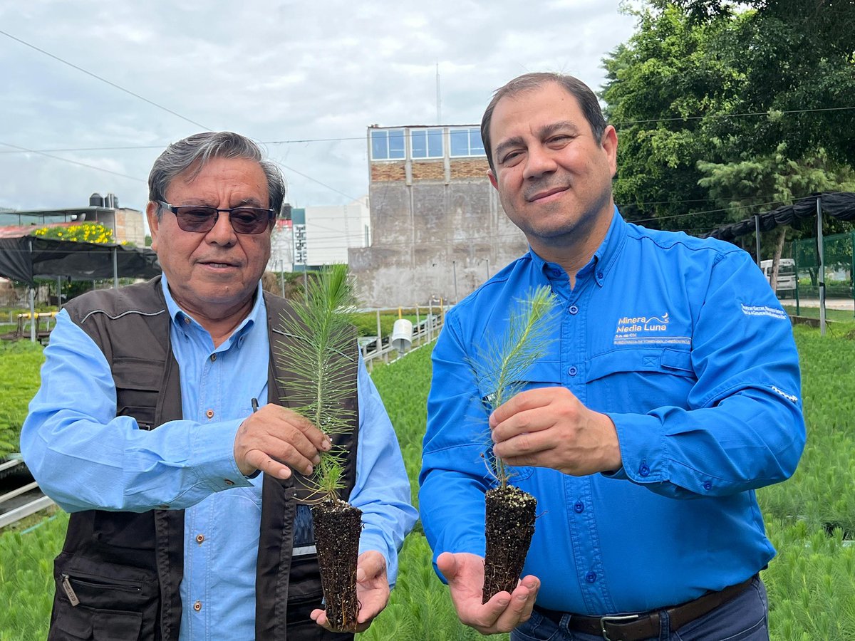 Como parte del acuerdo de colaboración entre Minera Media Luna y <a href="/SEMARENgro/">SEMAREN</a>, para la reforestación en zonas de clima templado en diferentes regiones del estado de Guerrero, hoy visité el Vivero Vicente Guerrero, en el cual se producen más de 100,000 árboles para este fin.