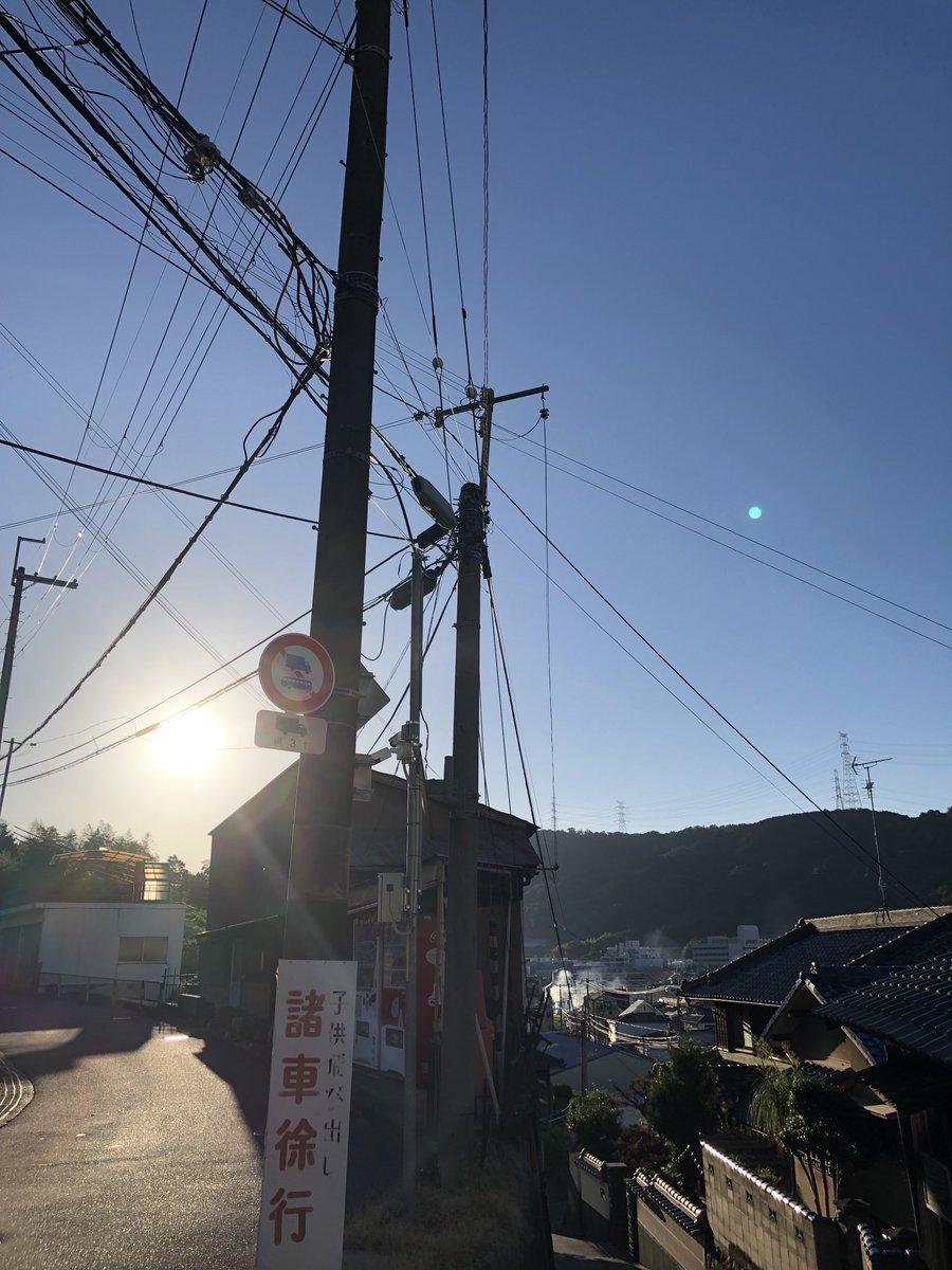 tarosuke0423's tweet image. 早朝散歩。