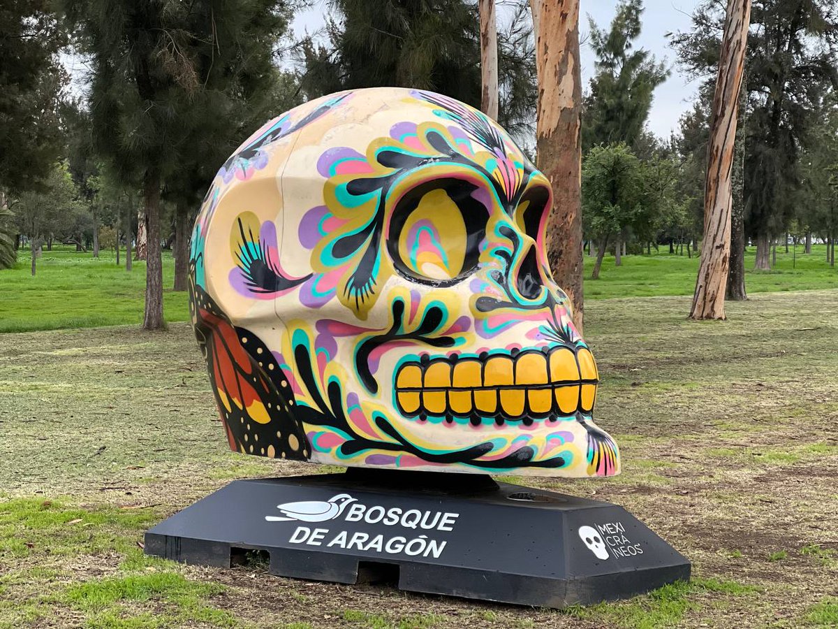 SEDEMA_CDMX's tweet image. ♻️ Este fin de semana el Reciclatrón llega al Bosque de San Juan de Aragón y es la oportunidad perfecta para deshacerte responsablemente de tus residuos electrónicos y eléctricos.
Y ya que andas por allá…
💀 Recorre la impresionante exposición de @mexicraneos
📍¡La entrada es…