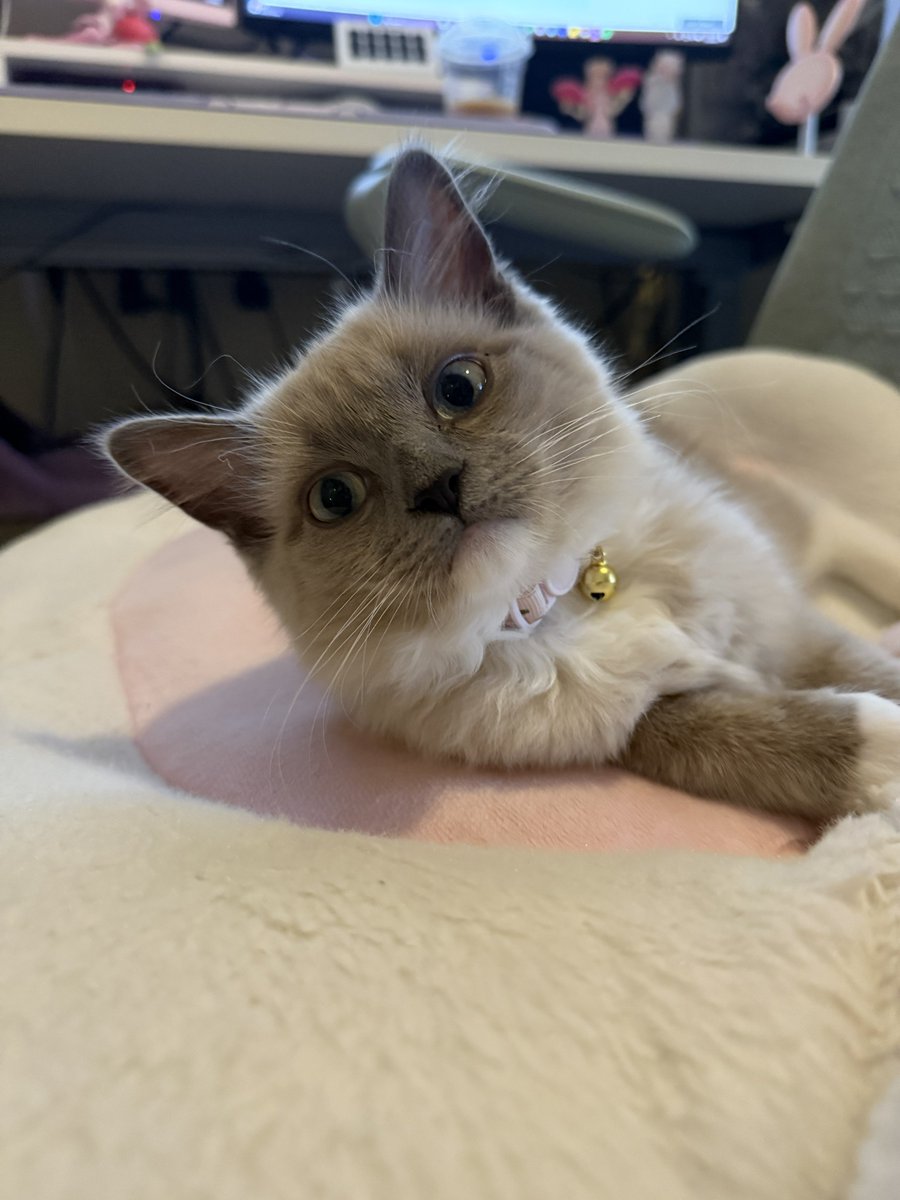 look at how pretty she is