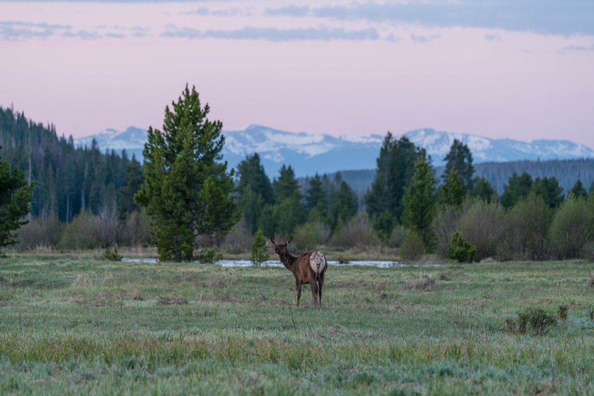 PNS_News's tweet image. On Tuesday, 20 Colorado officials sent a letter to the state&apos;s congressional delegation protesting six cuts to public lands management in the new tax and spending bill signed into law by President Donald Trump.

pnsne.ws/4o4tOLa