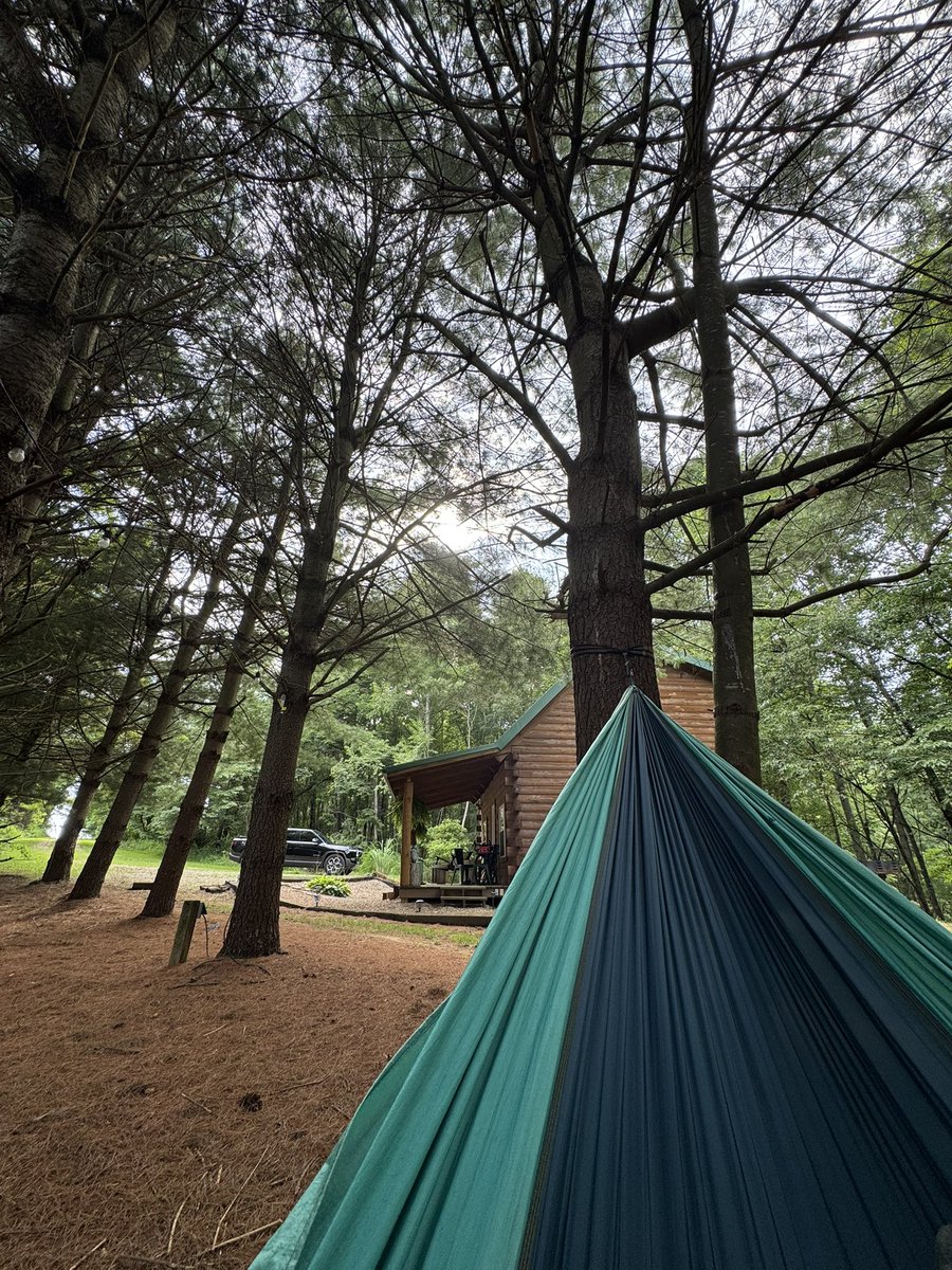 Chad_calcagno's tweet image. Damn why’d no one tell me before scrolling twitter while laying in a hammock in the woods listening to cows eat grass is kinda what life’s all about