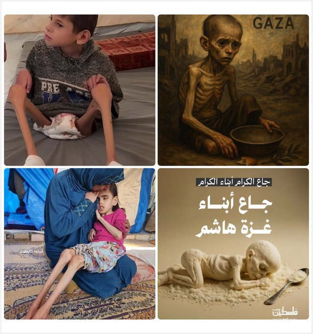 آمين
حسبنا الله ونعم الوكيل 
يارب عجل لهم بنصرك المبين يارب العالمين 
#غزه_تموت_جوعاً 
#كاريزما15