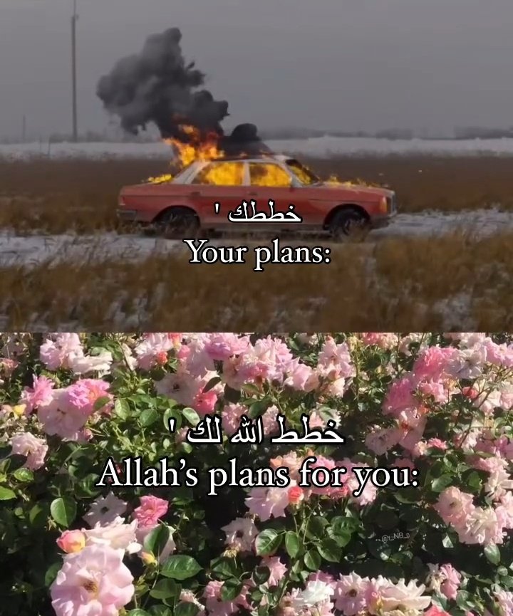 تذكير tweet media