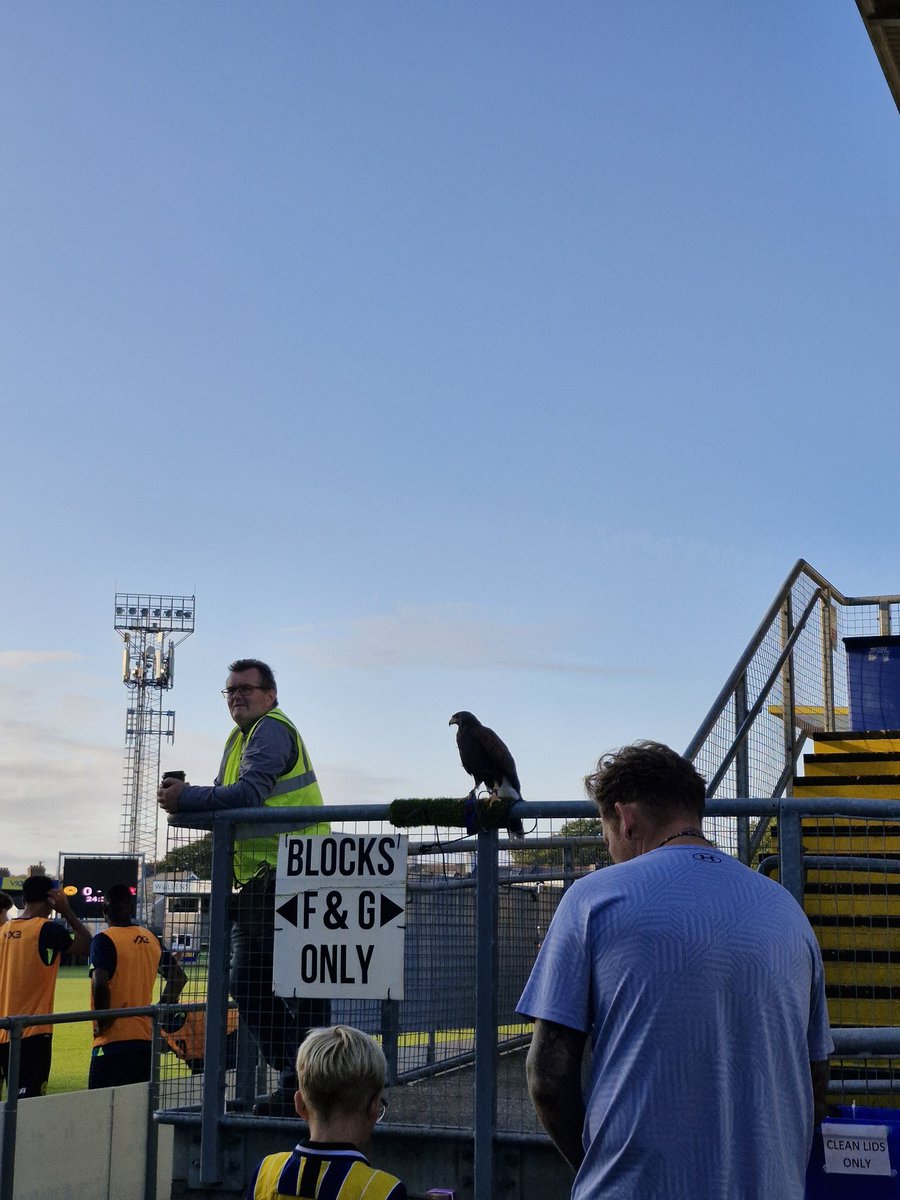 _kieranbl's tweet image. Mascots are getting out of hand these days