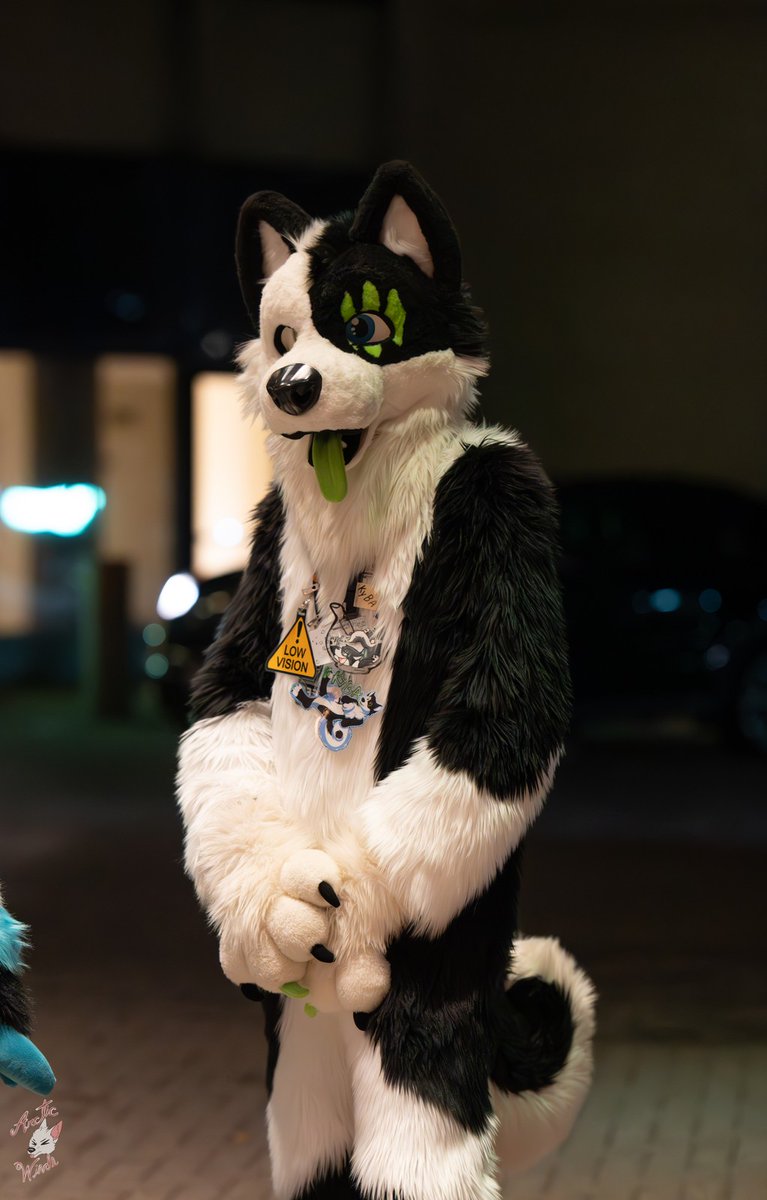 KybaCWC's tweet image. Happy #FursuitFriday everyone !!
I hope to see you next weekend at canfur. I can't wait to wear my new fursuit 💙💚