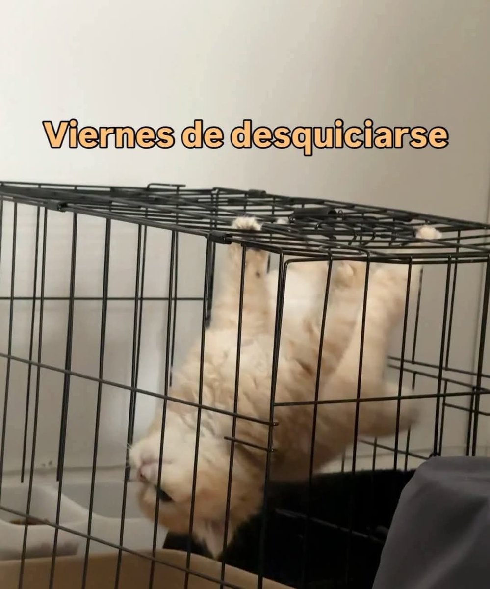 Nasty Poet (@nxstypxet) on Twitter photo 