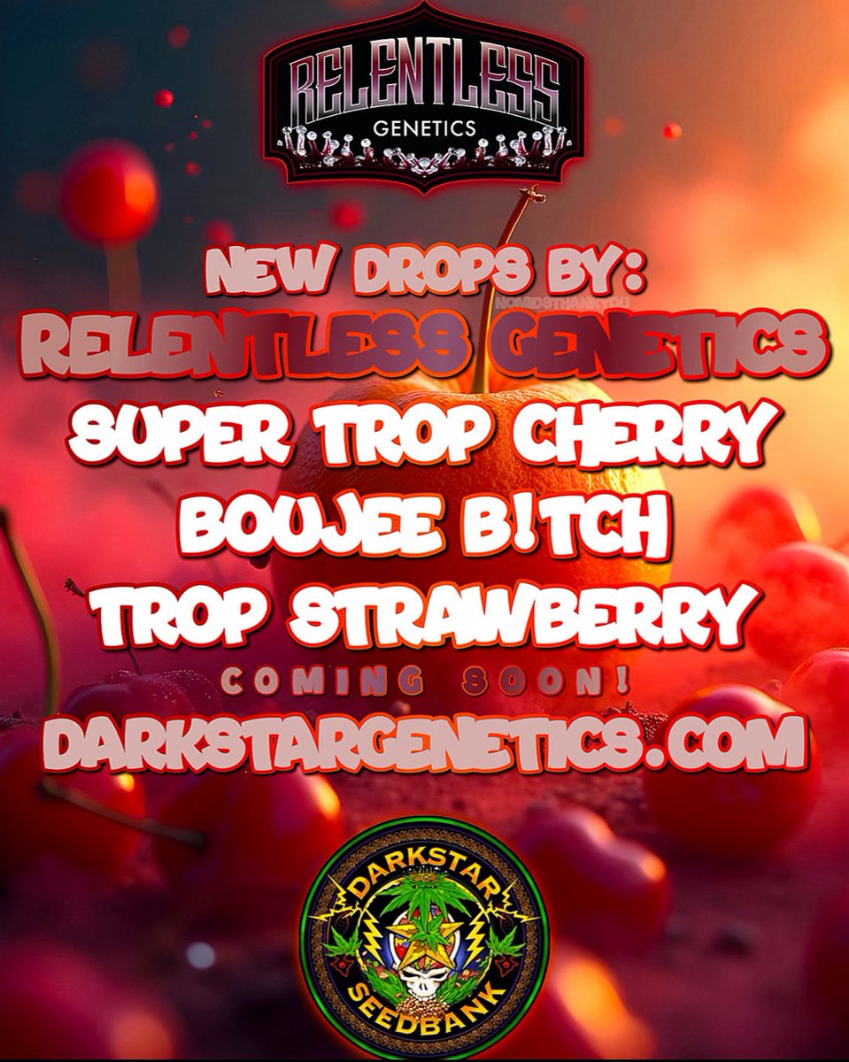 DarkstarSeedbnk's tweet photo. RELENTLESS GENETICS
NEW DROP IS LIVE 

https://t.co/0wk1jiEMRZ

#420community #seed #seeds #seedbank #cannacommunity #cannabiscommunity #hemp #growyourown #relentlessgenetics https://t.co/eANVpgdqdB