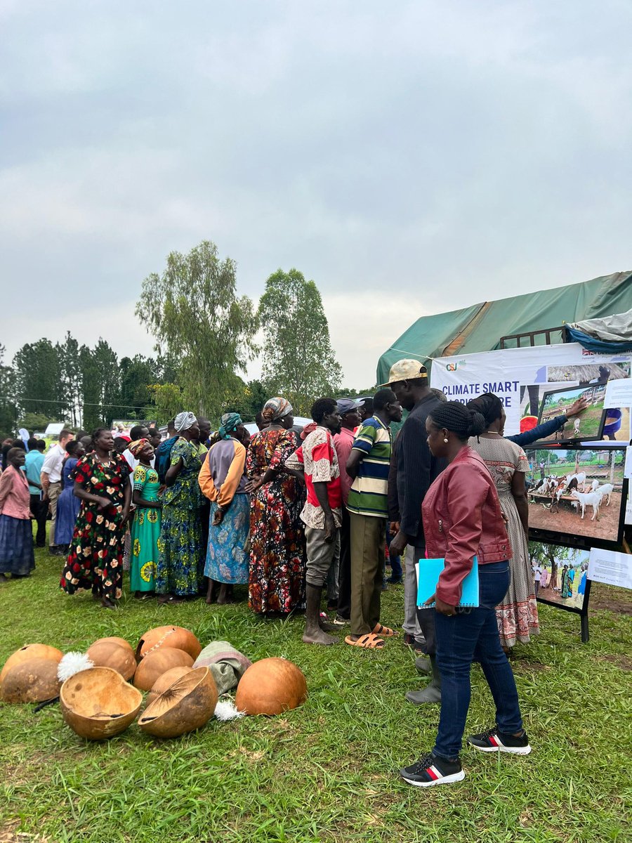ChagallaD's tweet image. Today we @infoNILE once again witnessed the power of community storytelling in #ClimateSmartAgriculture.

Collaboration by key stakeholders is essential in ensuring effective adaptation to the #climatechange crisis. 

We are grateful the Omoro community for being so kind to us.