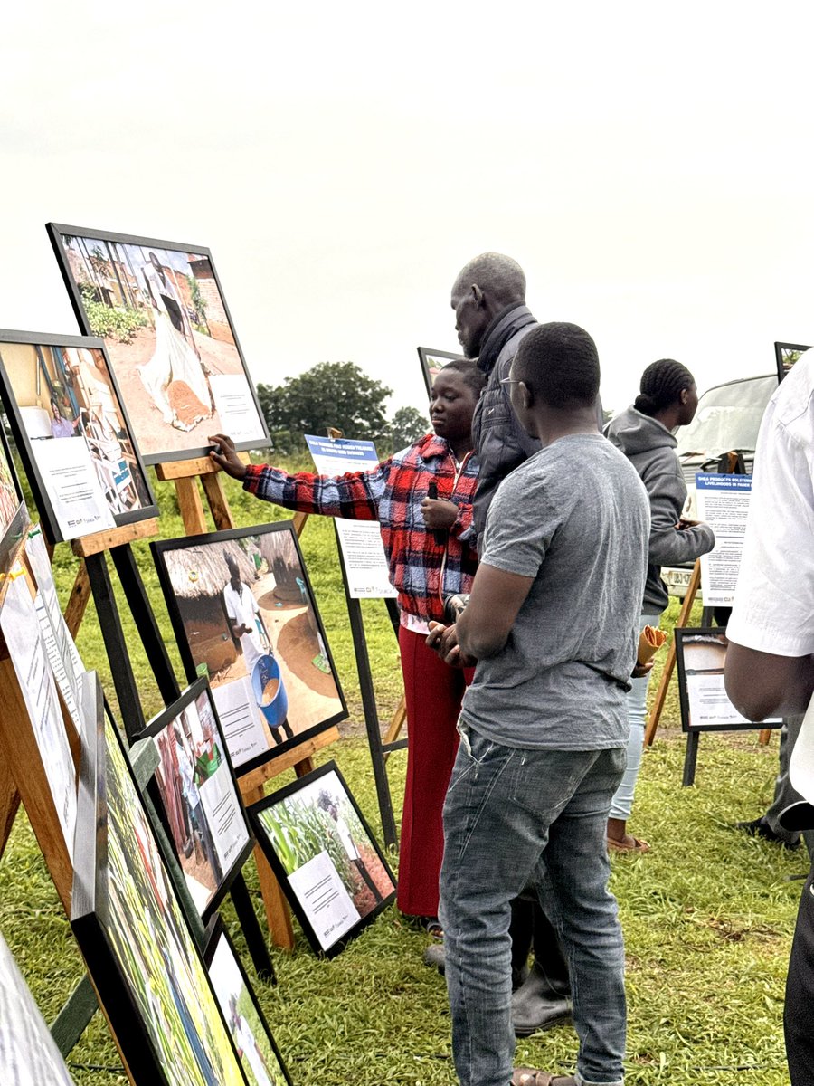 ChagallaD's tweet image. Today we @infoNILE once again witnessed the power of community storytelling in #ClimateSmartAgriculture.

Collaboration by key stakeholders is essential in ensuring effective adaptation to the #climatechange crisis. 

We are grateful the Omoro community for being so kind to us.