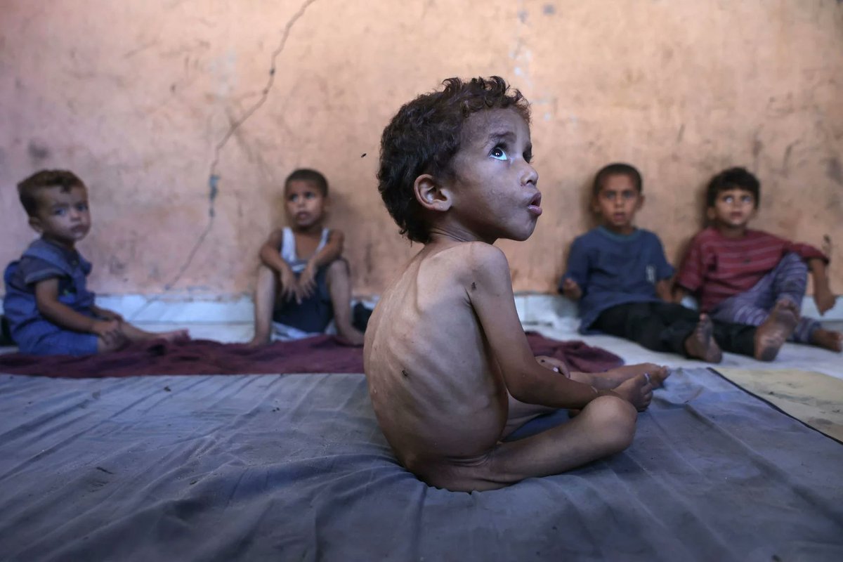 baskinfo's tweet image. HAMAS SOBRE LA SITUACIÓN DE HAMBRUNA EN GAZA
baskinfo.blogspot.com/2025/07/hamas-…
