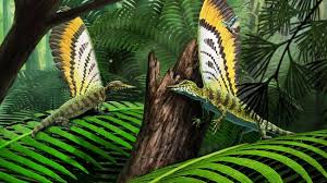 FDinosaurios's tweet image. Descubren al Mirasauria: reptil anterior a los dinosaurios que ya tenía cresta y "revoluciona la paleontología" (@La_SER)
Equipo internacional anuncia en @Nature q los 1os reptiles del período Triásico ya tenían estructuras únicas q crecían desde su piel
n9.cl/t3xiv