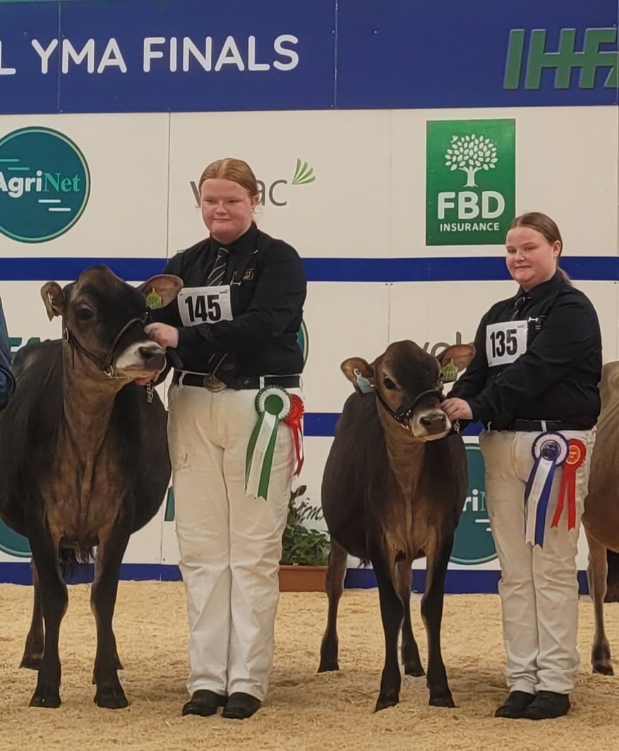 Peterhynes15's tweet image. Sisters showing sisters
Avonlea Chocochip
#Jersey #Semex