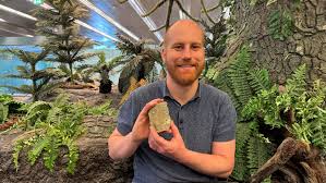 FDinosaurios's tweet image. Descubren al Mirasauria: reptil anterior a los dinosaurios que ya tenía cresta y "revoluciona la paleontología" (@La_SER)
Equipo internacional anuncia en @Nature q los 1os reptiles del período Triásico ya tenían estructuras únicas q crecían desde su piel
n9.cl/t3xiv