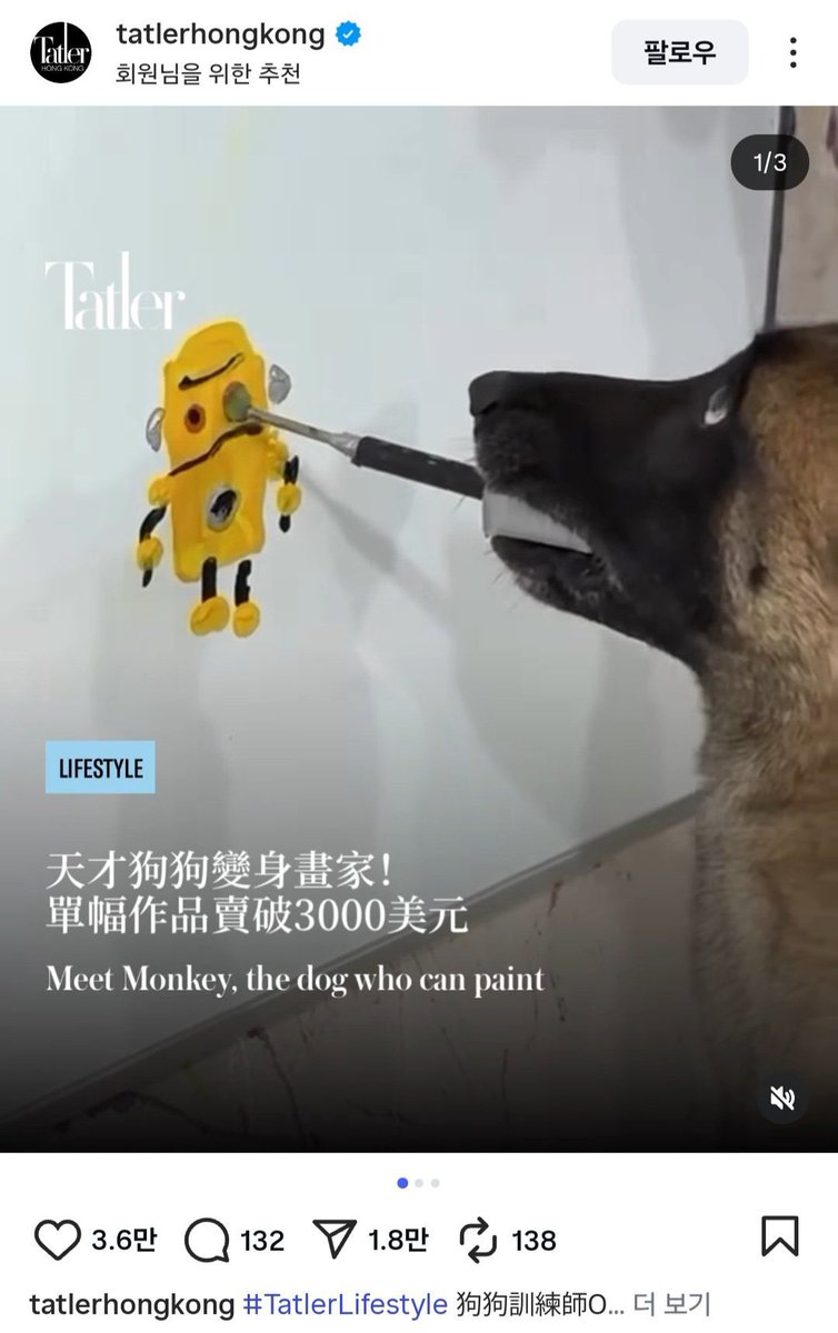 jonnybegoody19's tweet image. $Monkey
The 🐕 that can 🎨
This is a unique and talented dog.
There is a post of him on the Instagram Page : @tatlerhongkong , which is a Lifestyle page and even fashion.
The community here is solid, hardworking and showing up everyday.
The Team is legit and they are doing…
