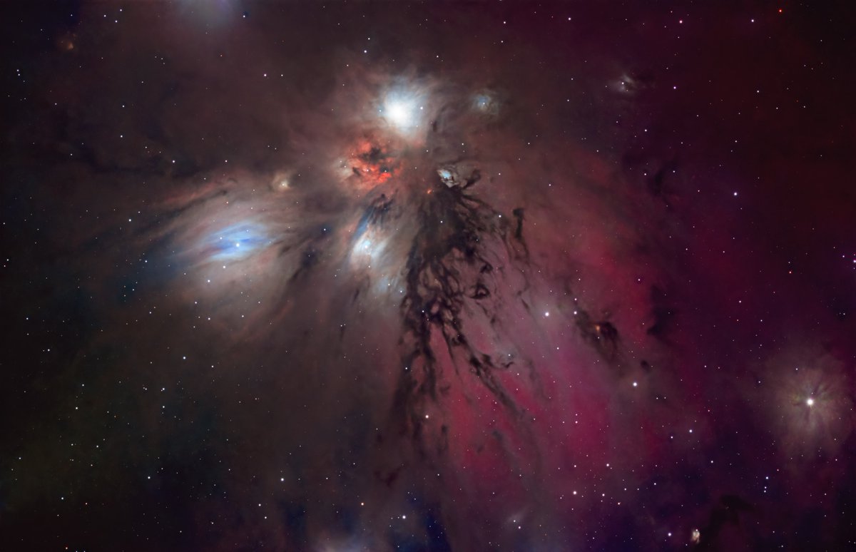 Tom Bock tweet media