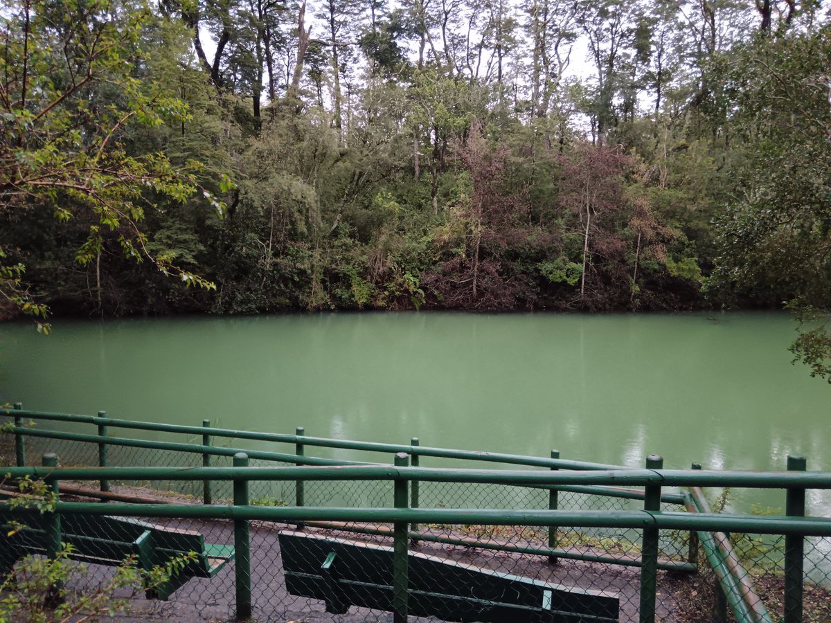 conaf_loslagos's tweet image. Conaf junto a Fundación Areas Protegidas,Atakama Outdoor y Casa Dominga inauguraron señalética en madera nativa en sectores Laguna Verde y Saltos de Petrohue en el Pnvp Rosales @conaf_minagri @Sernatur
