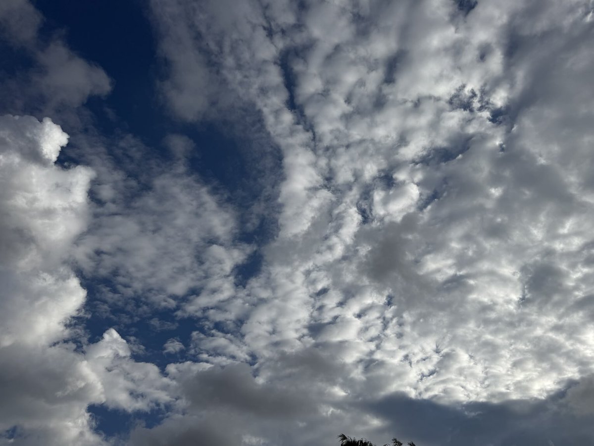 SchaafDietmar's tweet image. Twitters, ich bin ja sowas von großzügig heute. Schenke euch nochmal ein schönes Wolkenbild. Kommt mir aber nicht an Weihnachten mit weiteren Geschenken!!! Habt erstmal einen wunderschönen Abend.