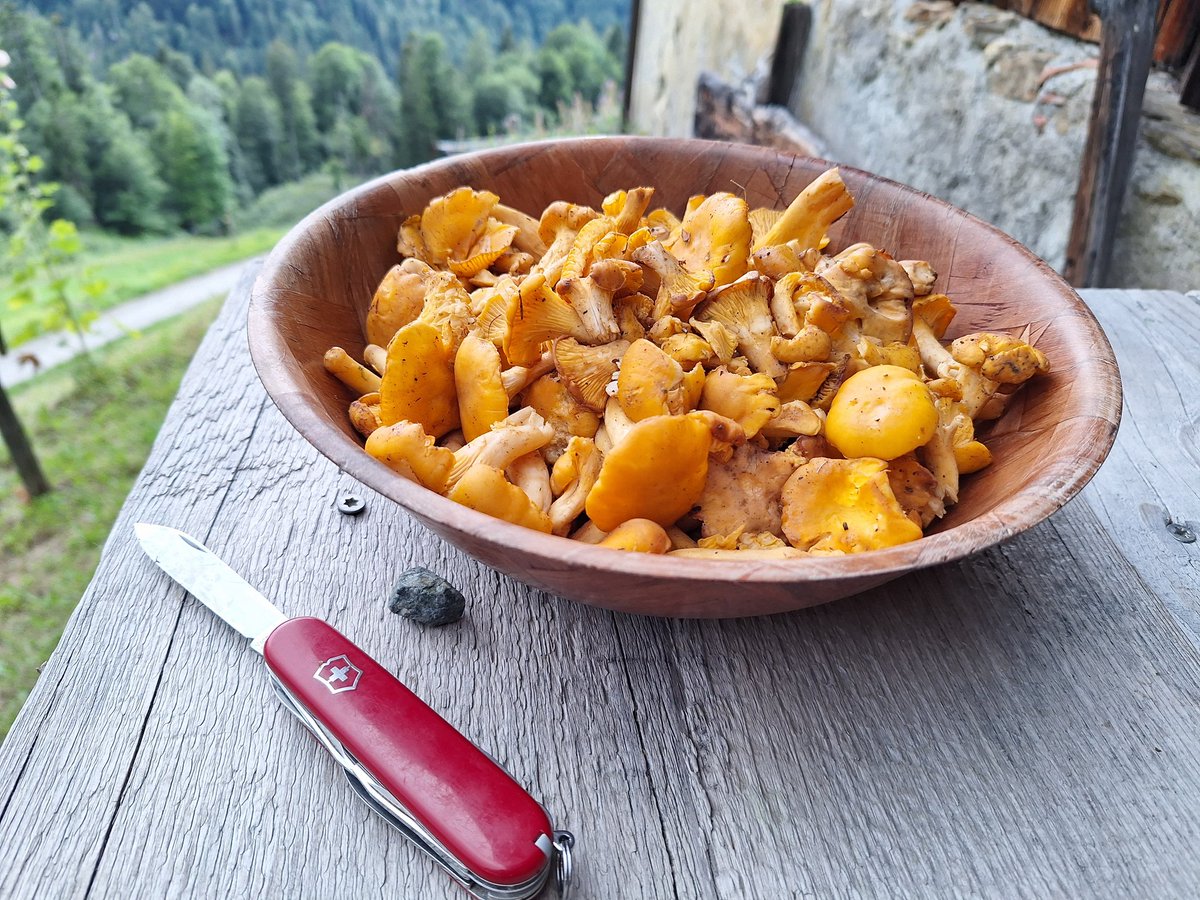 Heiko Jessayan tweet media