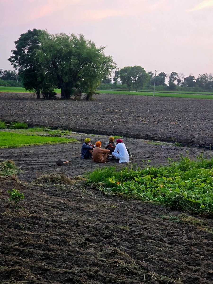 ਮੈਂ ਲੈਂਡ ਪੂਲਿੰਗ ਪਾਲਿਸੀ ਦੇ ਖਿਲਾਫ ਹਾਂ।
#ਸਕੂਨ ❤️
#villagelife  #PAnjAB