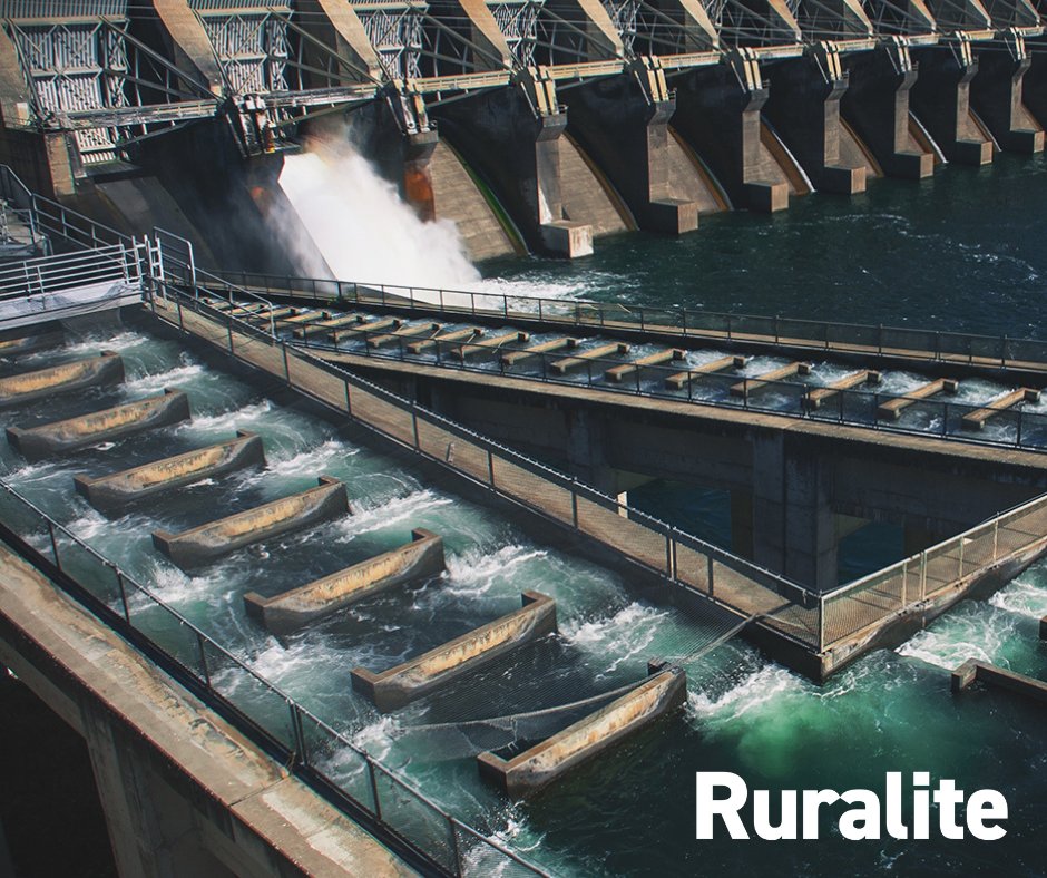 Around the Northwest, the U.S. Army Corps of Engineers are helping repopulate endangered fish species. By helping fish migrate up and down the rivers, fish repopulate above dams and live a full life cycle. Learn more about creating safer fish passage: ruralite.com/creating-safer….