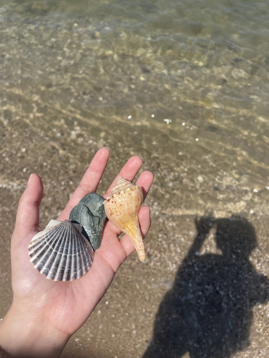 just spawned in shell city