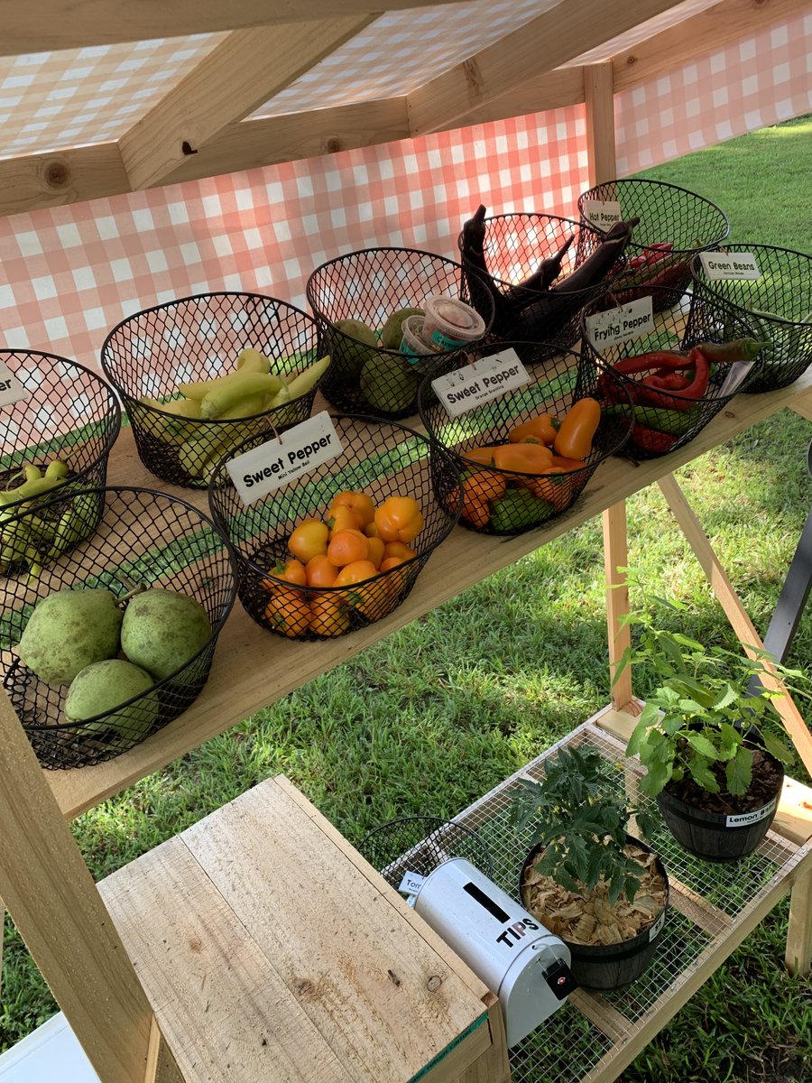 GrowBuildEat's tweet image. I setup a Patreon for those interested.
patreon.com/growbuildeat