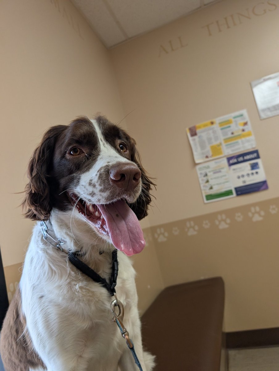 gudboidomino's tweet image. Imb cheew on tha dogtor Seth the scope