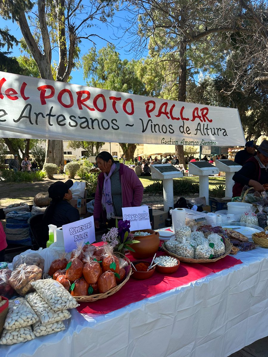 gui10road's tweet image. Mañana sábado es la Fiesta del Poroto Pallar y la plaza ya va tomando color 🫘
📍Cachi, Salta