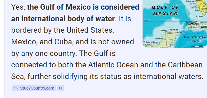 getthrutheday's tweet image. the party of the irony impaired:
trump can rename an international body of water.
but Macron can't recognize Palestinian state.
