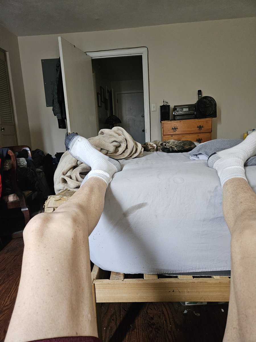 John Pillin ๐ณ๏ธโ๐๐บ๐ฆ (@artofmix89) on Twitter photo Her Territory Includes My Bed Now Her Territory Includes My Bed Now