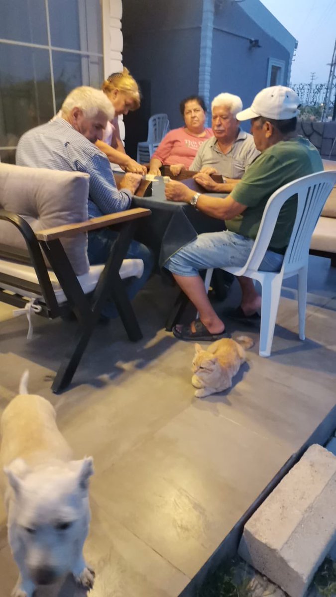 Eksilsek de yüreğimizde merhamet ve sevgi eksilmedi…
Başımıza gelenlere rağmen insanlara da küsmedik,sadece suçlu olanların hesap vermesini istedik; hayvanlar zaten masumdu…
Adaletsizliğin getirdiği acıya rağmen,bir çok insanın huzurumuzun yarısına bile sahip olmaması çok acı!.