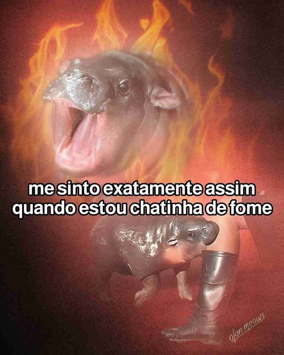paginalixo1's tweet image. 