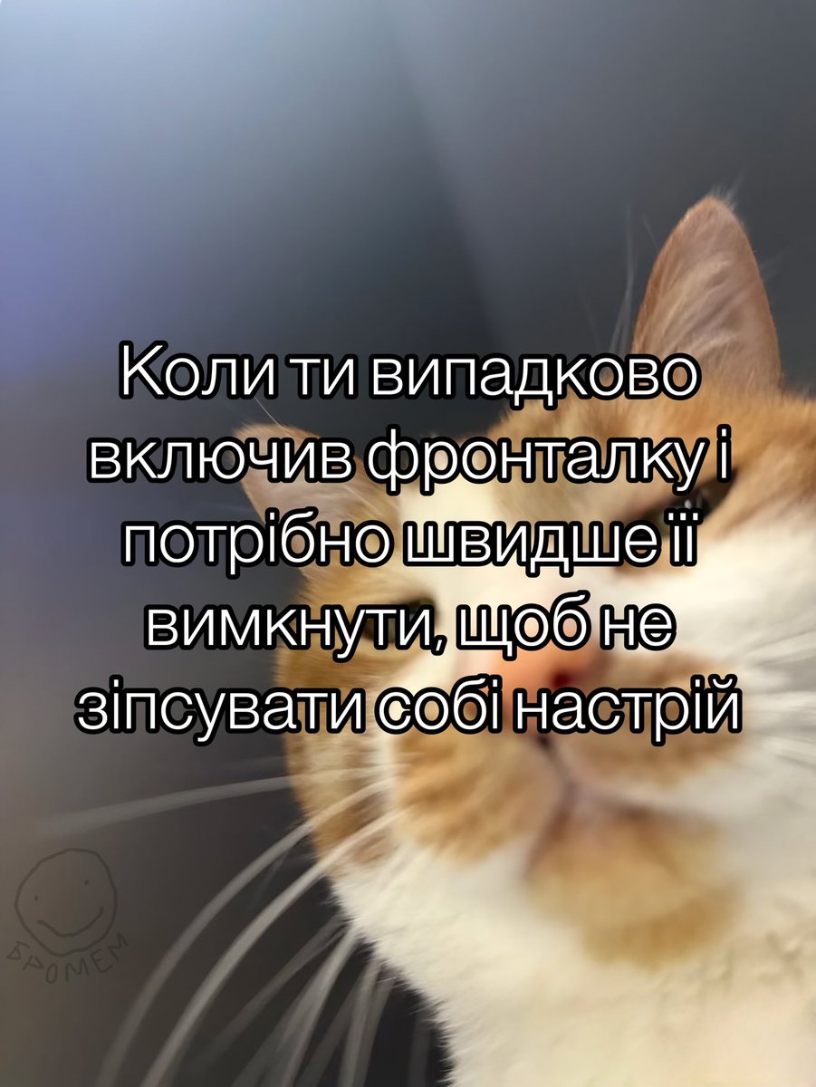 bromemss's tweet image. 