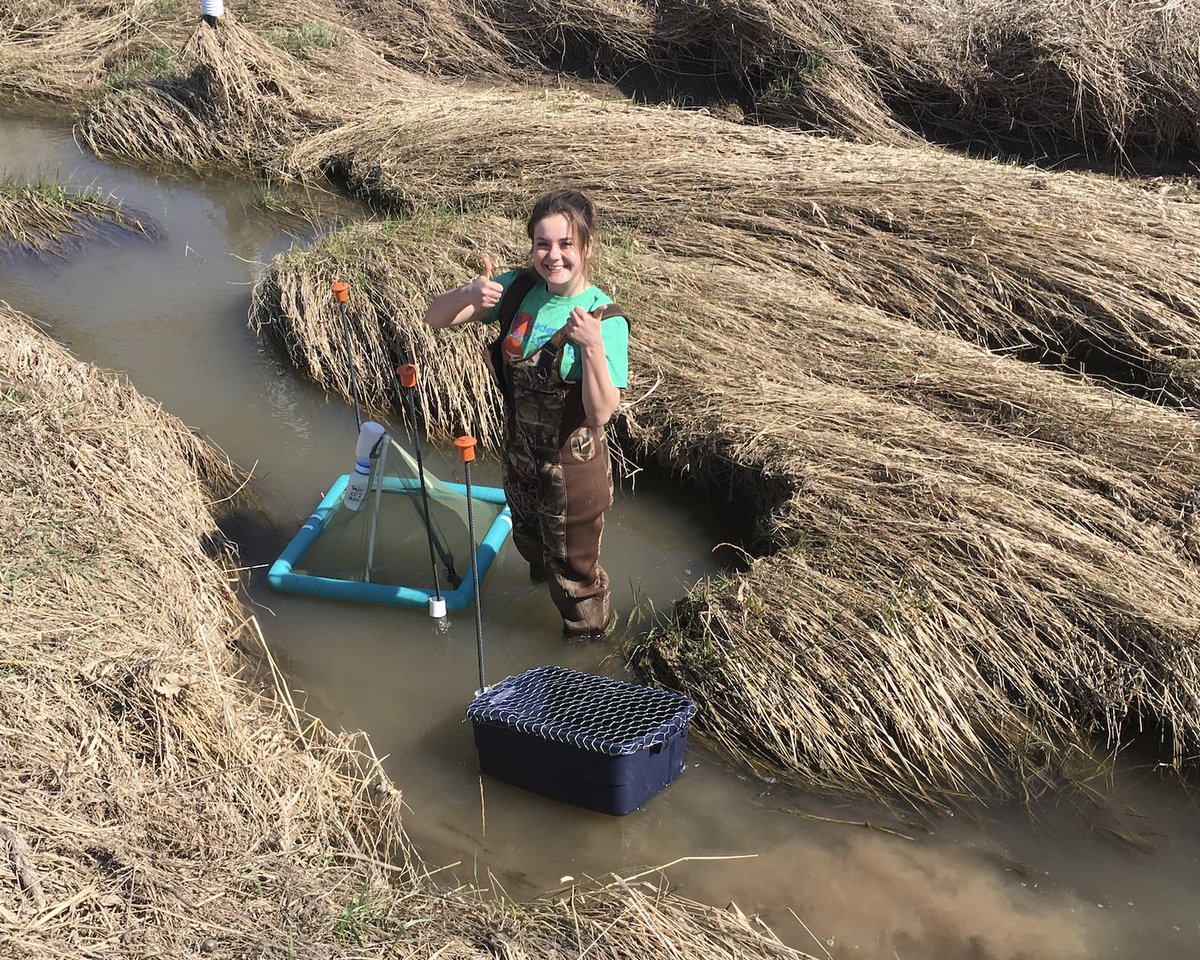 College of Biological Science (@uofgcbs) on Twitter photo Stream food webs are shaped by seasonal changes, but agriculture can impact the availability of resources🍂
Research by <a href="/marie_gutgesell/">Marie Gutgesell</a> & Dr. Kevin McCann <a href="/IntUGrativeBiol/">Integrative Biology</a> shows that maintaining streamside vegetation may support more resilient food webs
uoguelph.ca/cbs/news/2025/… Stream food webs are shaped by seasonal changes, but agriculture can impact the availability of resources🍂
Research by <a href="/marie_gutgesell/">Marie Gutgesell</a> & Dr. Kevin McCann <a href="/IntUGrativeBiol/">Integrative Biology</a> shows that maintaining streamside vegetation may support more resilient food webs
uoguelph.ca/cbs/news/2025/…